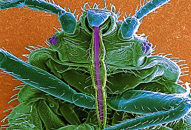 《赛博朋克2077：终极版》Mac版配置 硬盘需要160GB